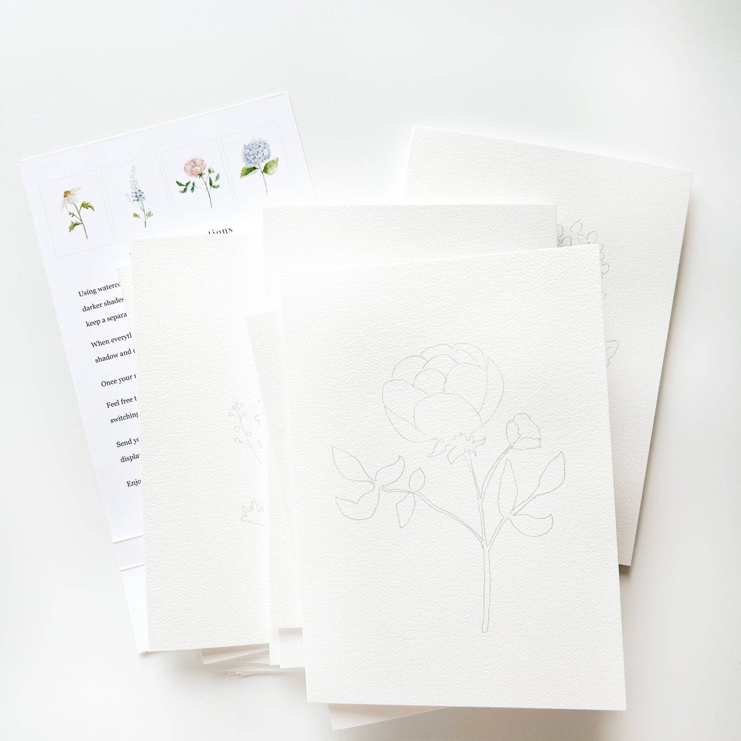 emily lex studio - Garden flowers paintable watercolor notecard set