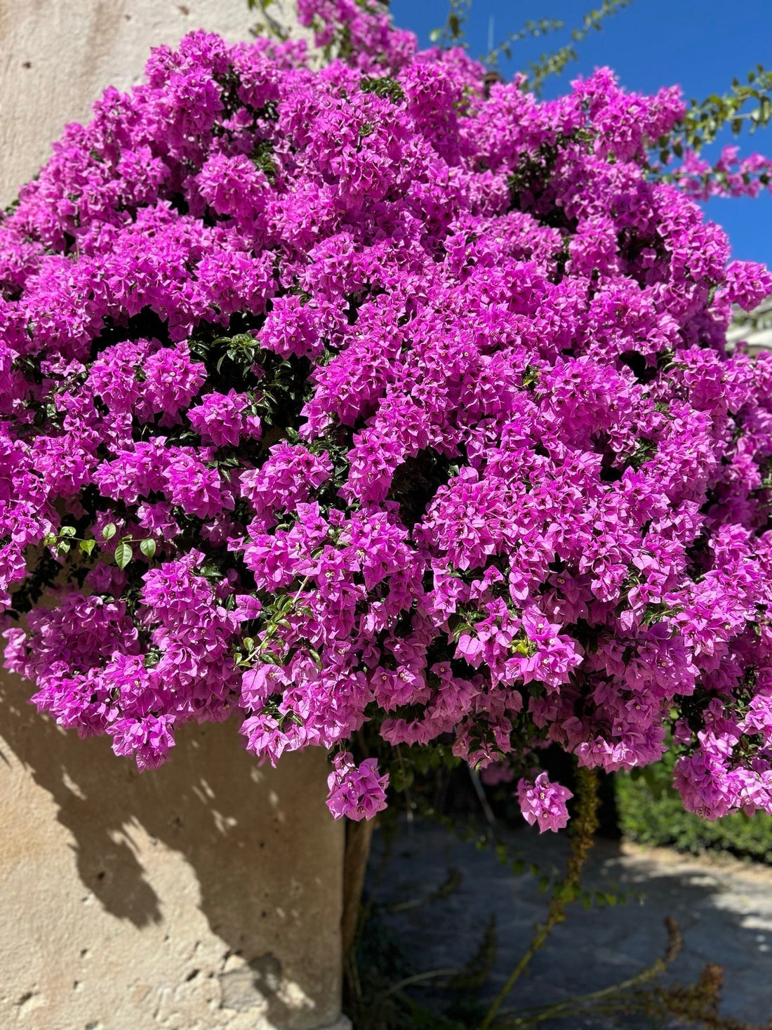 Introducing: Meanwhile, In Portugal