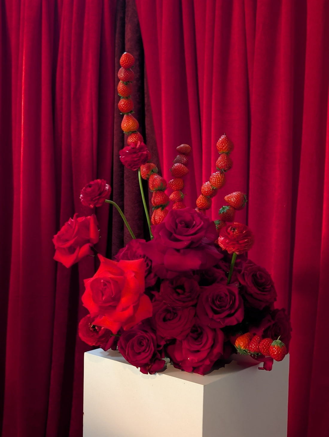 Fresh, Juicy, and Just a Little Bit Wild: She Loves Me x Oishii