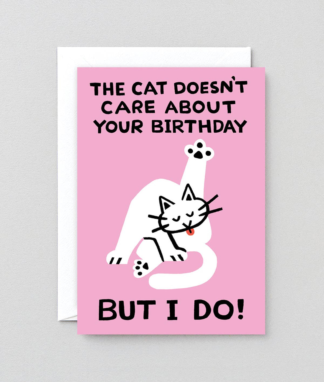 'The Cat Doesn’t Care’ Greetings Card