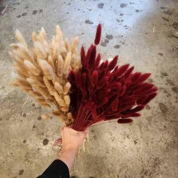 Bunny Tails - 2 for $1