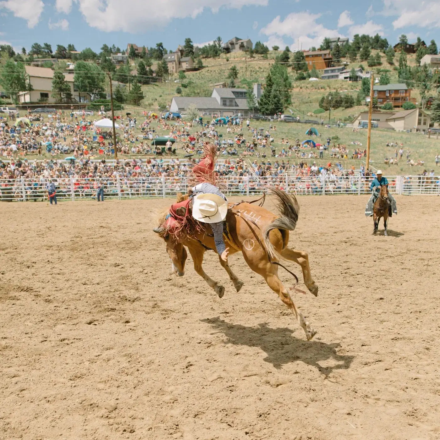 Ranger Station - High Horse Candle