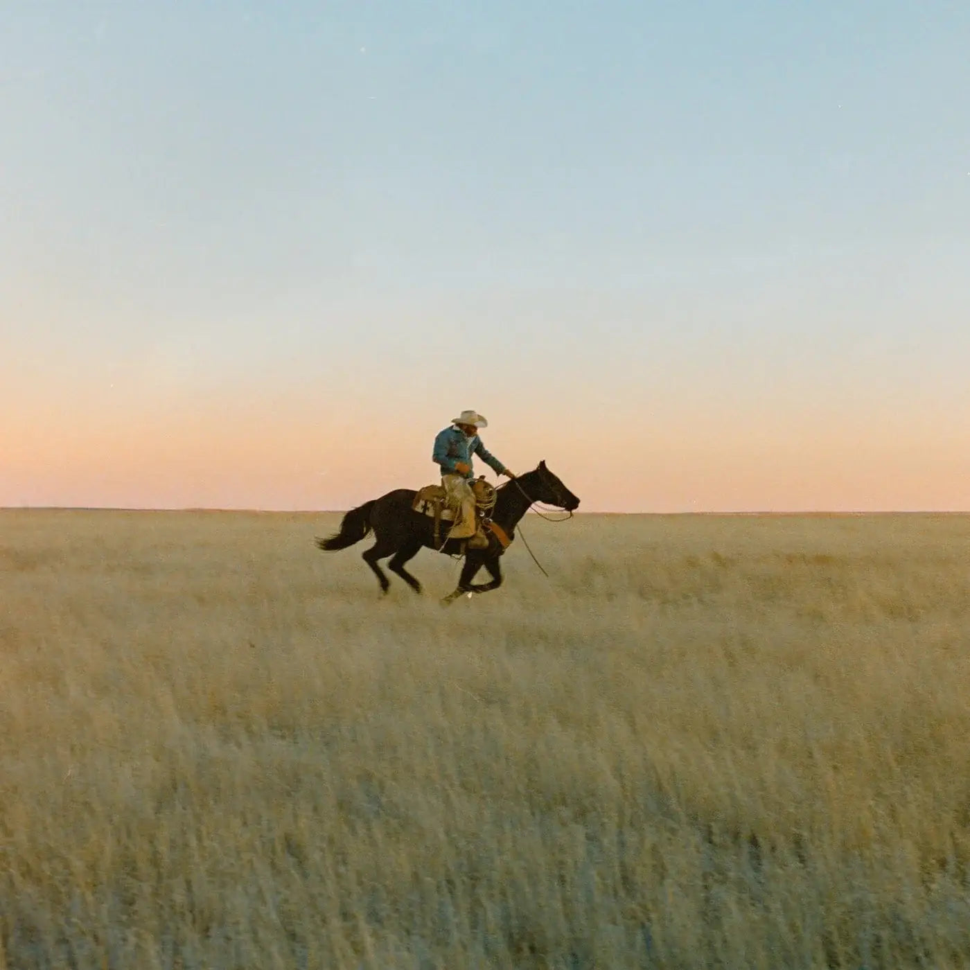 Ranger Station - High Horse Candle