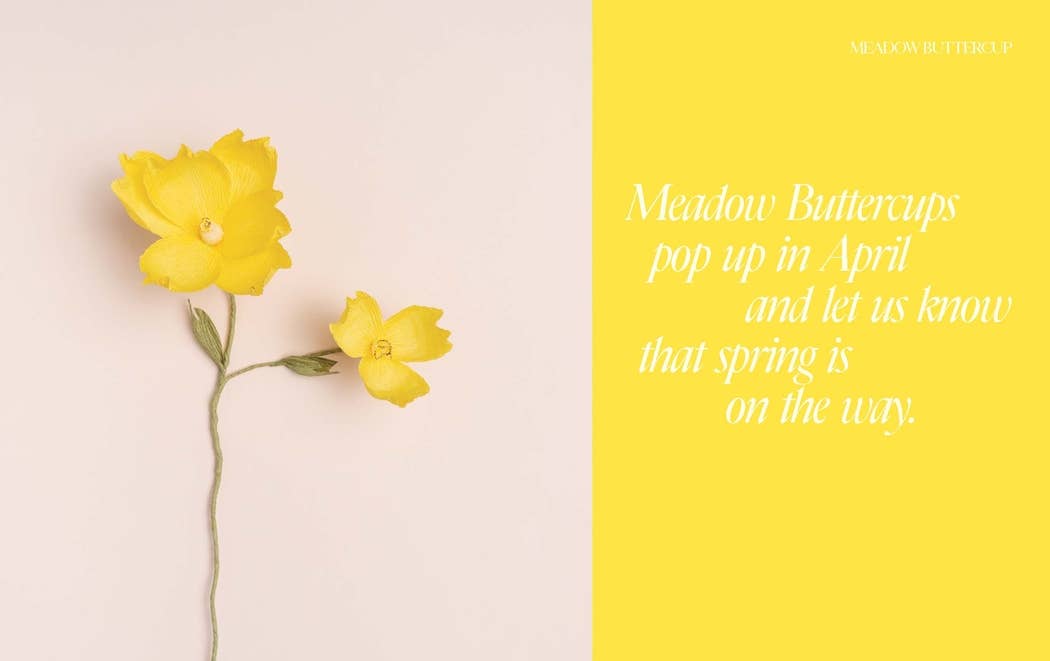 Chronicle Books - Paper Flowers