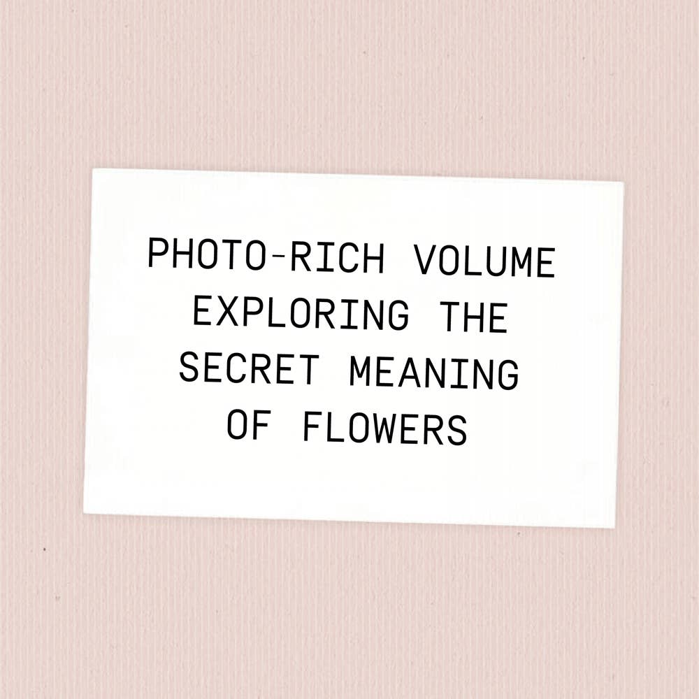 Chronicle Books - Say It with Flowers