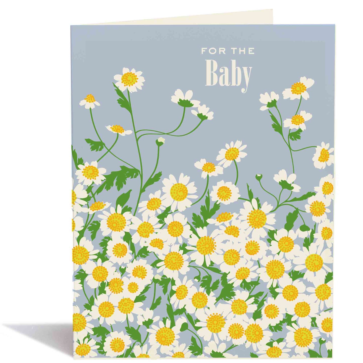 Snow & Graham - #8228 Baby Chamomile