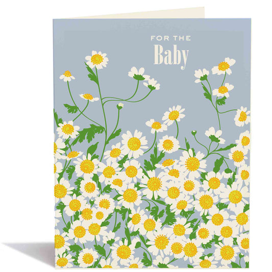 Snow & Graham - #8228 Baby Chamomile