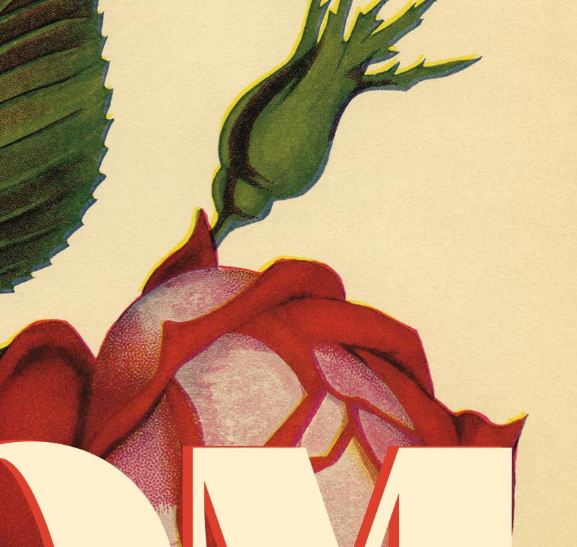 offensivedelightful - MOM ROSE thanks mother's day card