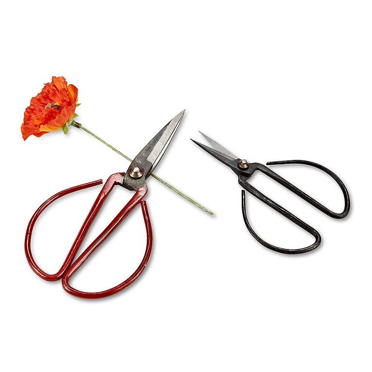Abbott - Flower Stem Shears - 3 Asst Colors: Medium (7"L)