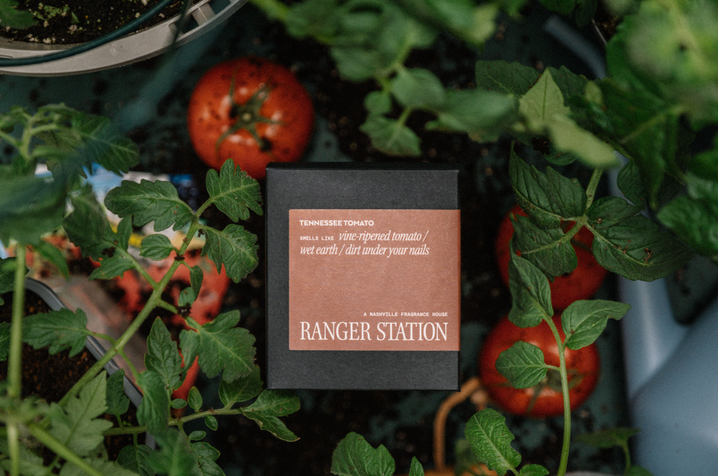 Ranger Station Wholesale - TENNESSEE TOMATO CANDLE