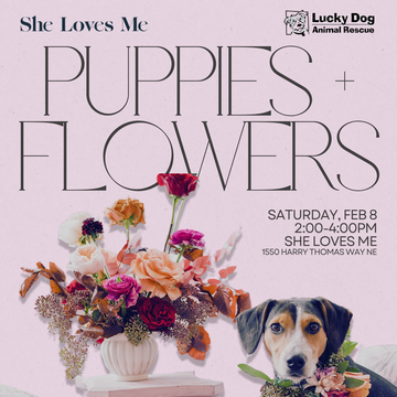 Puppy Play Date + DIY Valentines - Feb. 8