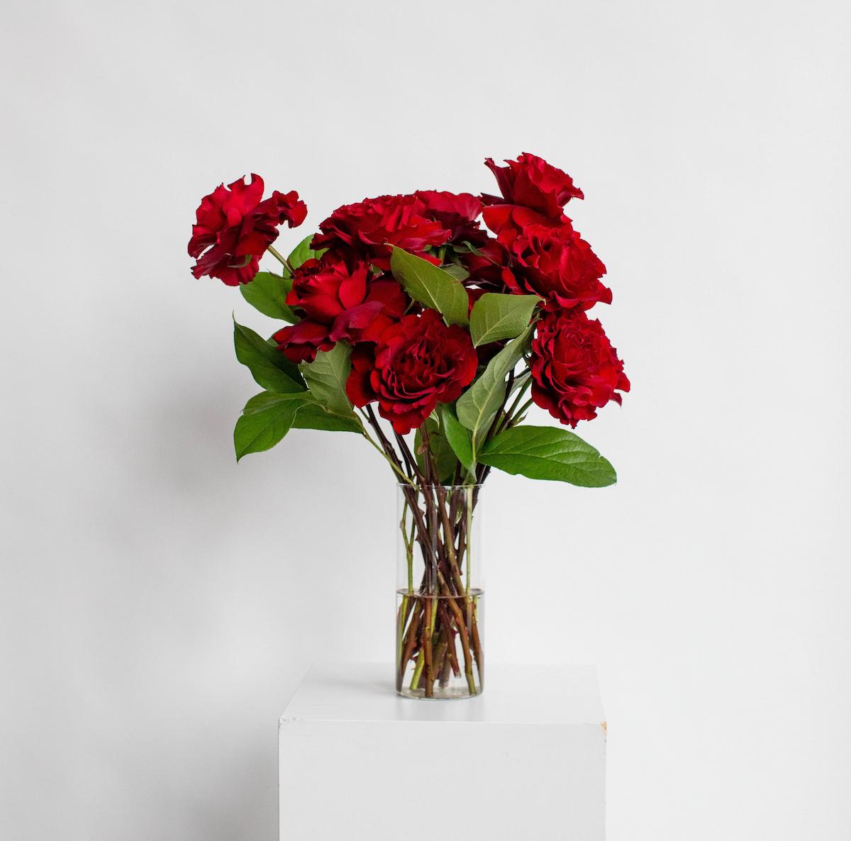 Bouquet of red garden roses in a clear vase on a white surface with a white background