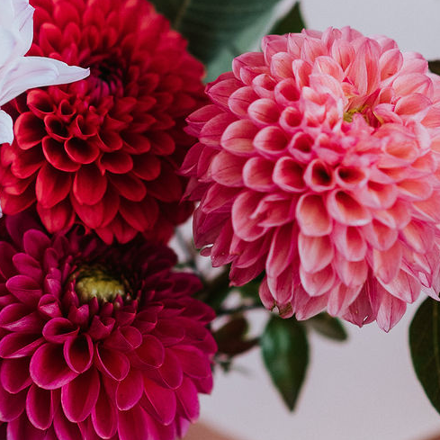 Flower Arranging Basics with Fall Flowers - Nov. 15th