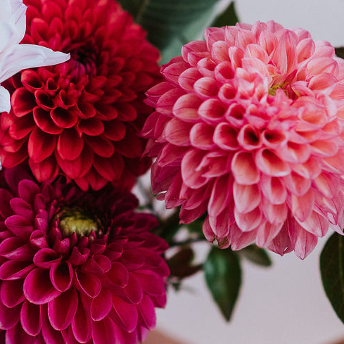 Flower Arranging Basics with Fall Flowers - October 11th