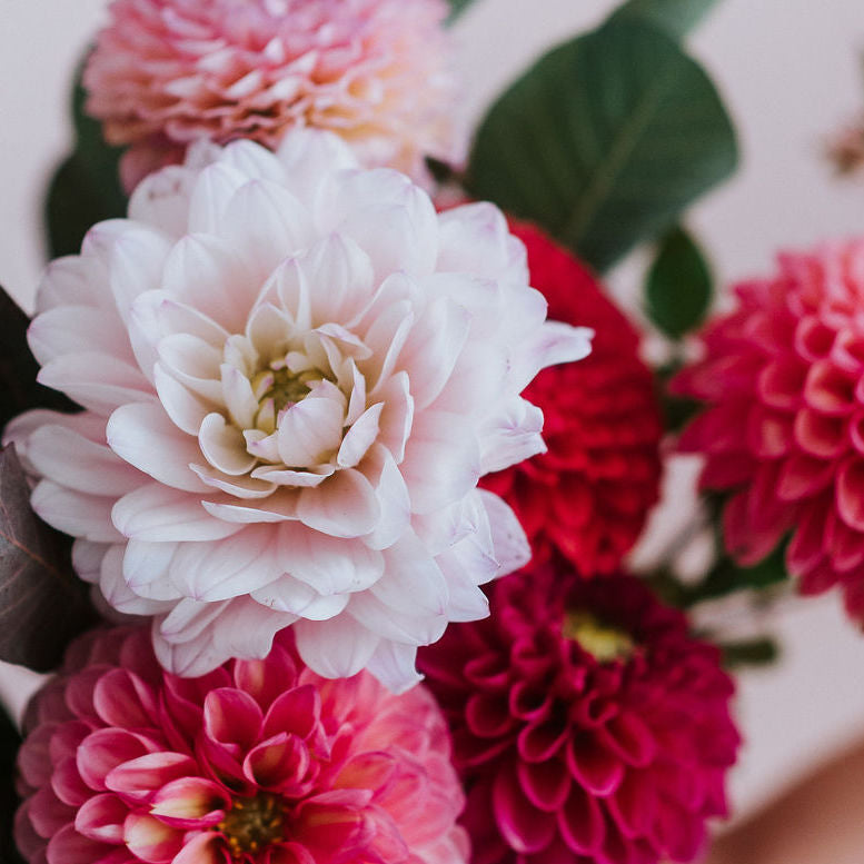Flower Arranging Basics with Fall Flowers - October 25th