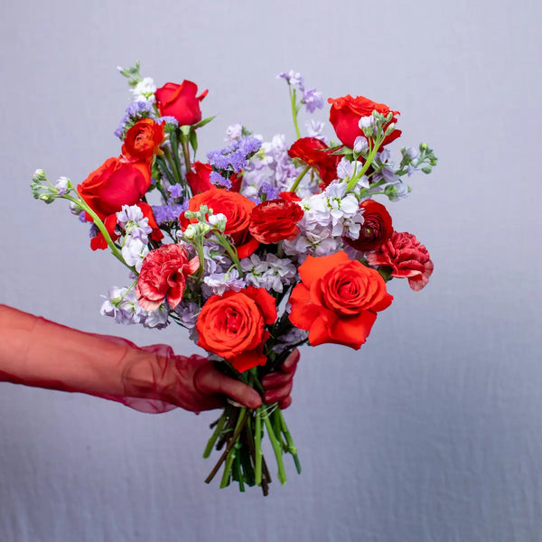 Bouquet of red and white flowers held by a hand against a gray background