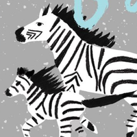 ZEBRA MOMENTS - Baby Card