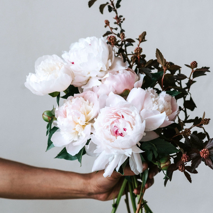 Peony Party Bouquet (MOTHER'S DAY ONLY)