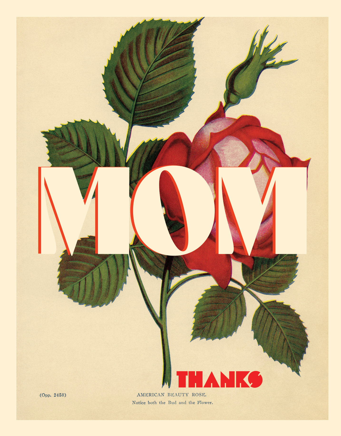 offensivedelightful - MOM ROSE thanks mother's day card