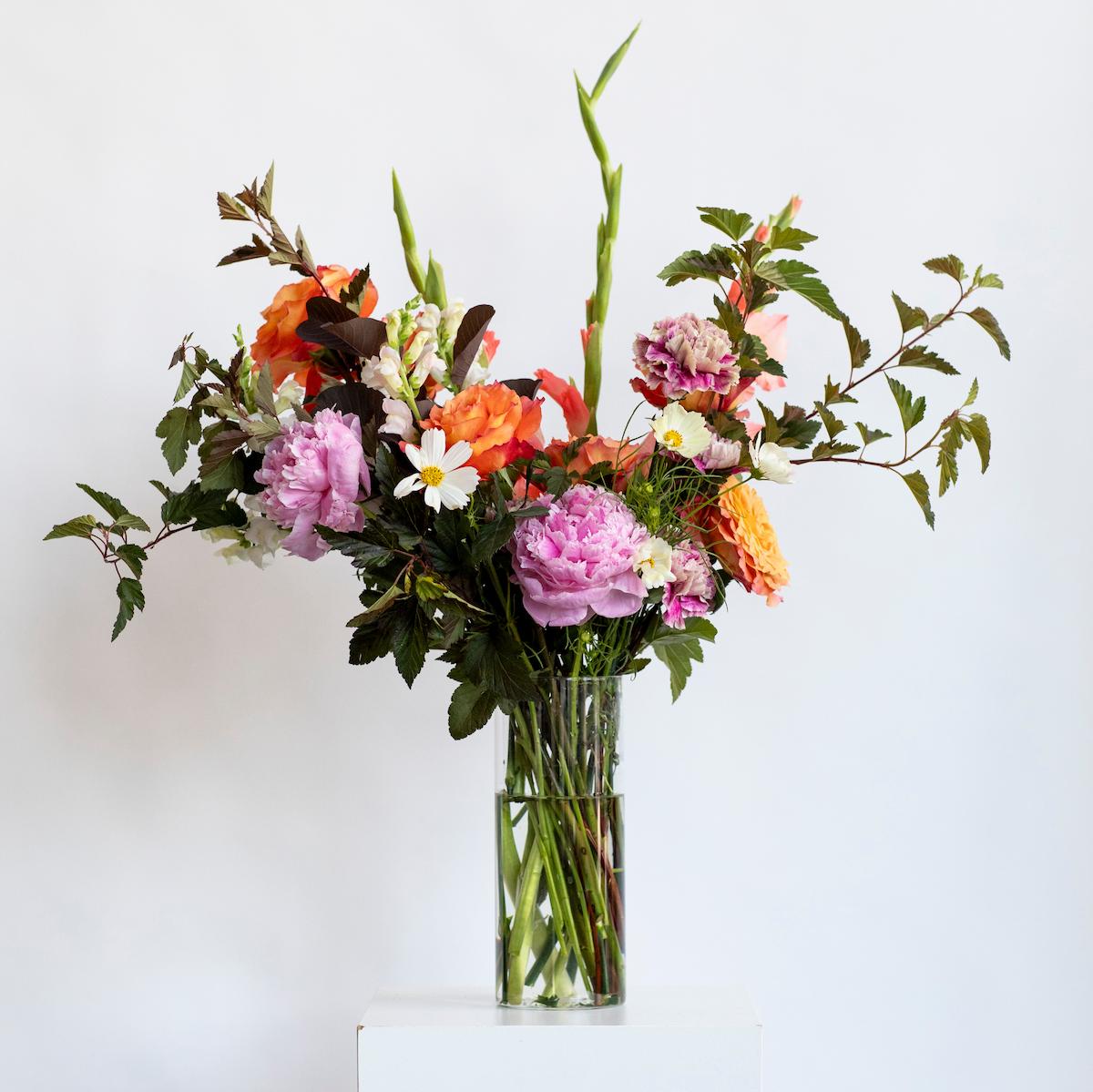 color boutique of flower against a white wall in a tall clear vase