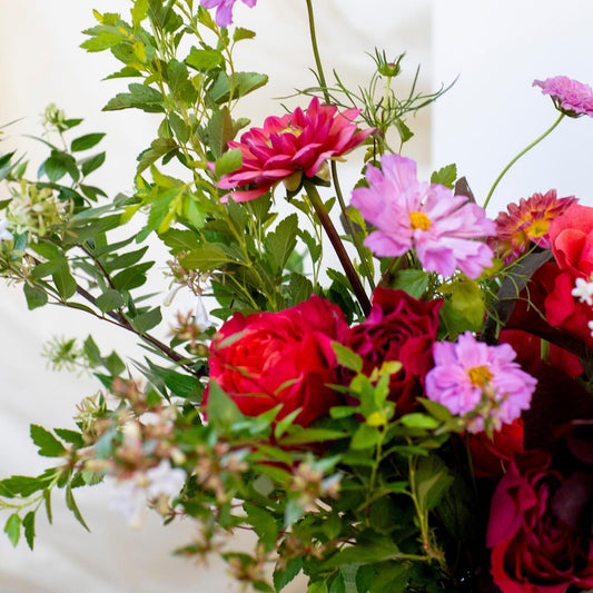 Bouquet of colorful flowers including red roses and pink dahlias on a white background