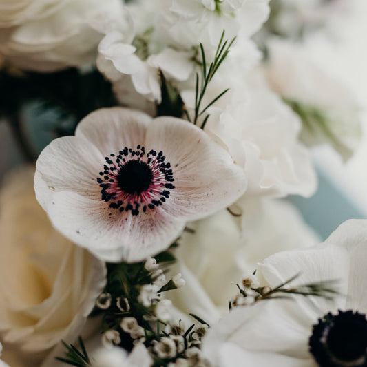 Flower Arranging Basics with Winter Flowers – January Workshops