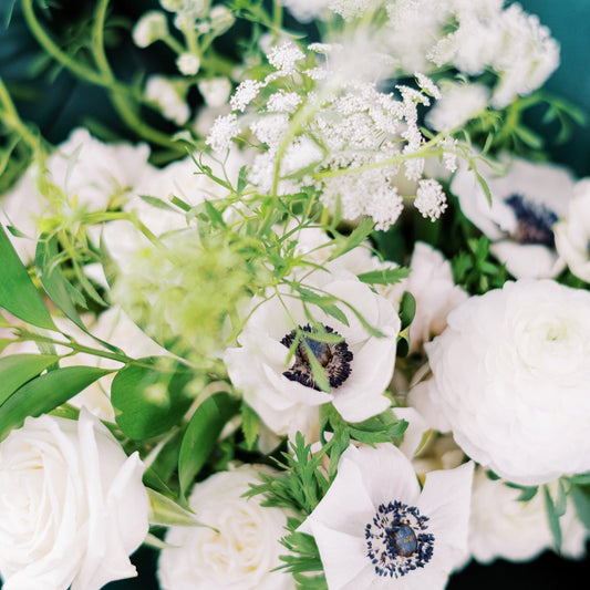 Flower Arranging Basics with Winter Flowers (Test)