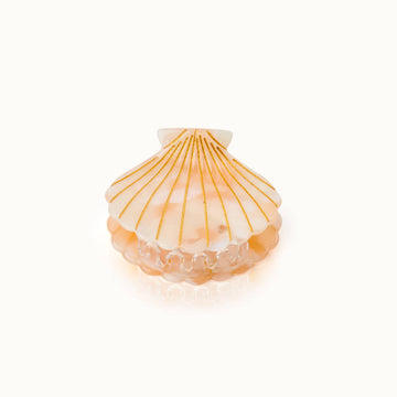Shell hair clip nude