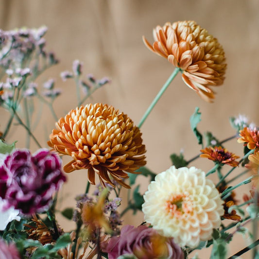 She Loves Me Gift Card