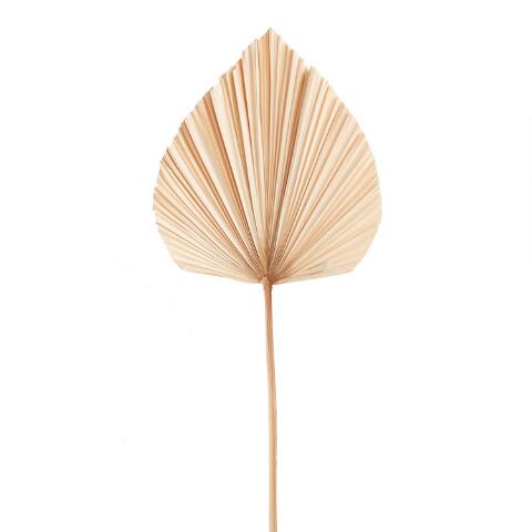 Palm Spade (Green)