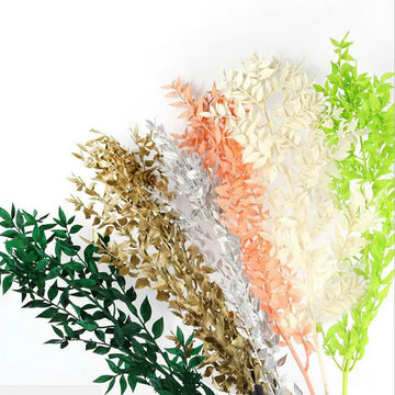 Ruscus